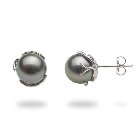 Heritage Tahitian Black Pearl Earrings in White Gold - 9-10mm